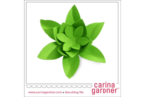 Small Succulent SVG for Crafting & Design